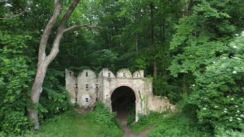 Small castle in lower austria captured with MINI 2 Stock Footage 156056609