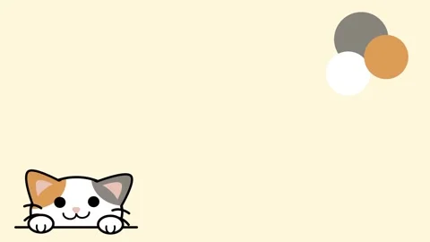 SMALL CAT CORNER Stock Footage 334461623