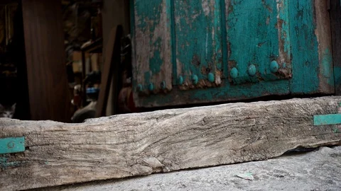 Small cat jumping from inside of antique wooden door Stock Footage 124838023