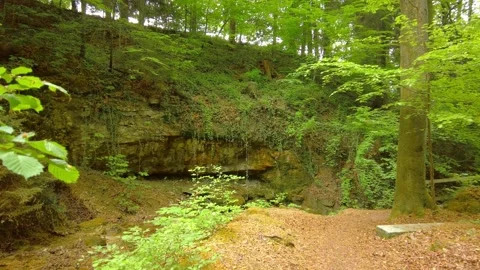 Small cave opening under a mossy rocky hill in a dense forest Stock Footage 334869277