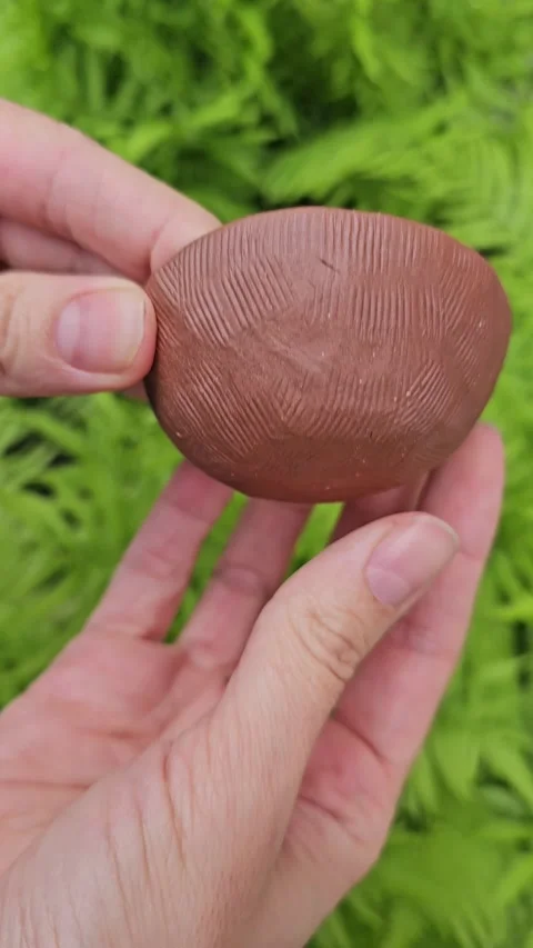 Small ceramic bowl rotating in hands on neutral background Video stock 324685400