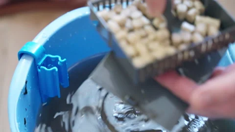 Small ceramic filter rings in plastic box for home aquarium, cleaning filter box 스톡 동영상 302401629