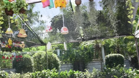 Small Ceramic Mobile and Ornamental plants in Flowers shops  Thailand Stock Footage 146382039