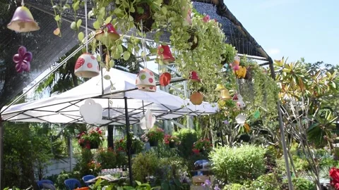 Small Ceramic Mobile and Ornamental plants in Flowers shops Stock Footage 146382079