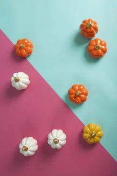Small ceramic pumpkins in different colors on a two-tone turquoise and fusc.. Stock Photos