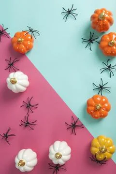 Small ceramic pumpkins in different colors among an invasion of spiders Stock Photos