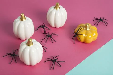 Small ceramic pumpkins in different colors among an invasion of spiders Stock Photos