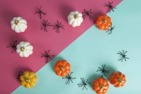 Small ceramic pumpkins in different colors among an invasion of spiders Stock Photos