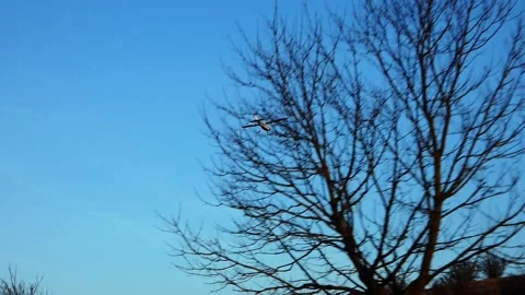Small Cessna Flying in Blue Sky – Handheld Car Footage Stock Footage 321773926
