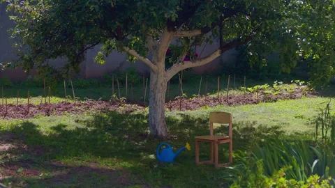 A small chair Stock Footage 312794830