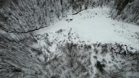 Small chalet in the snowy forest Stock Footage 237118394
