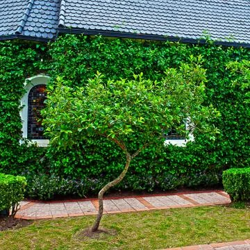 Small chapel with green trees Foto stock