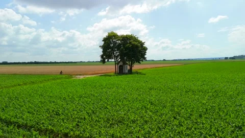 Small chapel stands at intersection of dirt roads, surrounded by fields of crops Stock Footage 285628672