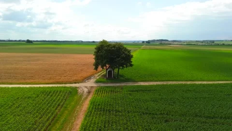 Small chapel stands at intersection of dirt roads, surrounded by fields of crops Stock Footage 285628707