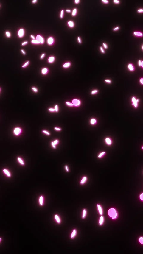 Small Cherry Blossom Petals Falling on Black Vertical Seamless Loop 库存影片 345852618