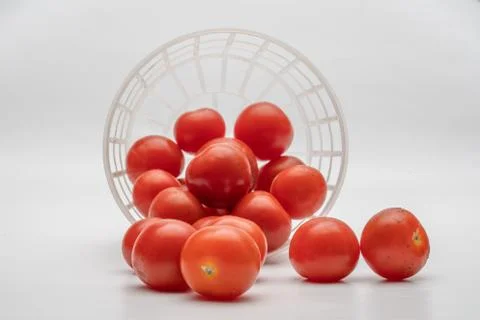 Small cherry tomato close up Stock Photos