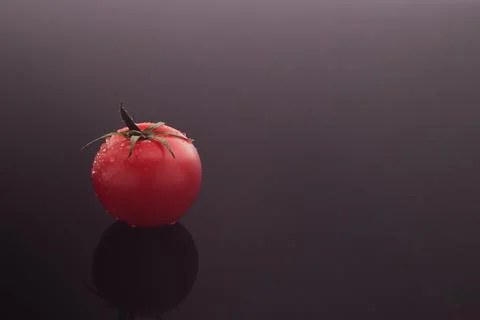 A small cherry tomato with dew drops on a dark gray gradient background. The Stock Photos