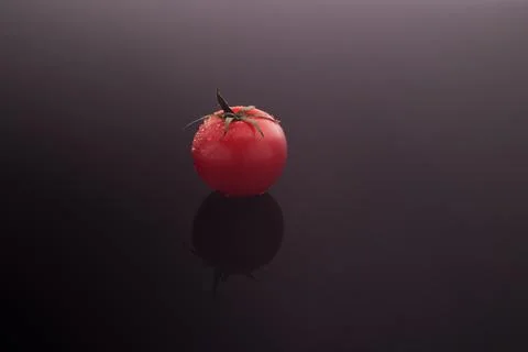A small cherry tomato with dew drops on a dark gray gradient background. The Stock Photos