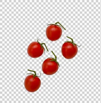 Small Cherry tomatoes isolated on white, clipping path, PNG Stock Photos