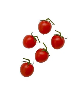 Small Cherry tomatoes isolated on white, clipping path 写真素材