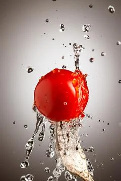 Small cherry tomatoes on a silver fork are poured with water. Splashes of water Stock Photos