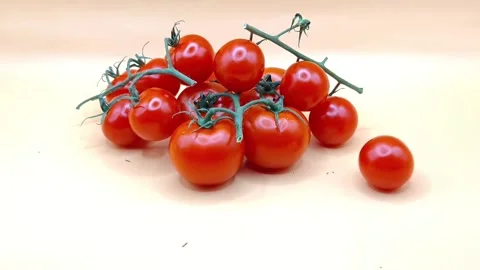 Small cherry tomatoes on the vine 스톡 동영상 334002017