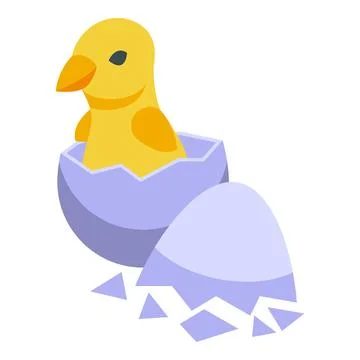 Small chick icon isometric vector. Chicken egg Stock Illustration