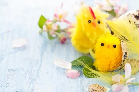 Small chicks in nest. Stock Photos