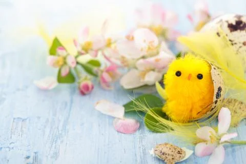 Small chicks in nest. Stock Photos