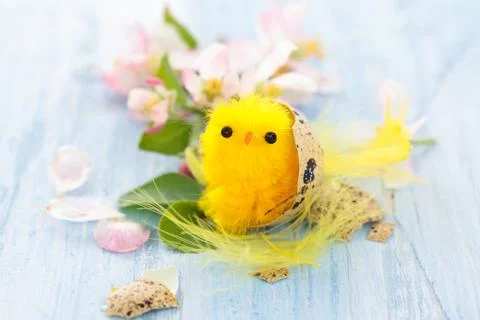 Small chicks in nest. Stock Photos