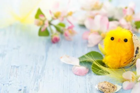 Small chicks in nest. Stock Photos