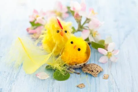 Small chicks in nest. Stock Photos
