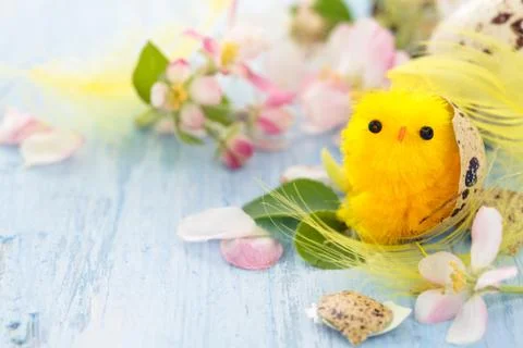 Small chicks in nest. Stock Photos