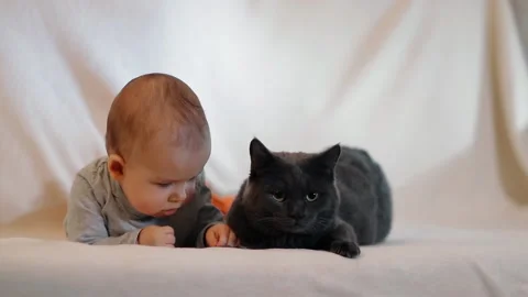 A small child and an angry cat lie on the couch. Stock Footage 89772348