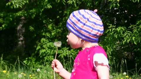 The small child blows on a dandelion Stock Footage 50960942