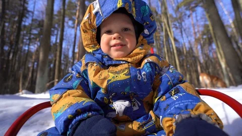 Small child / boy sitting on a sled in winter overalls Stock Footage 104028527