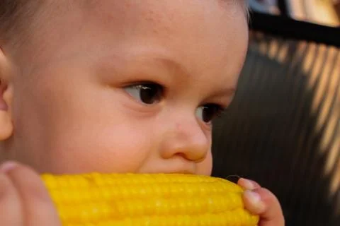 Small child eating buttered corn on the cob Stock Photos