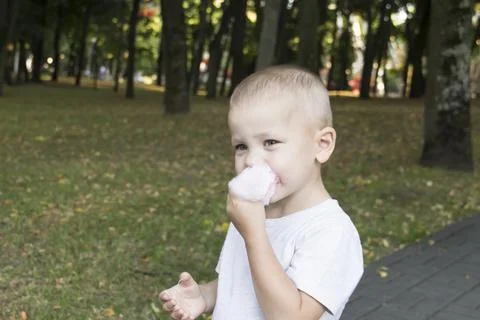 A small child eats pink cotton candy in an amusement park. Stock Photos