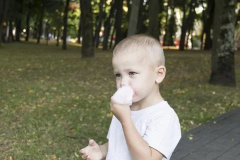 A small child eats pink cotton candy in an amusement park. Stock Photos