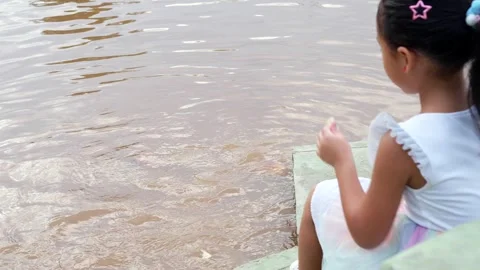 Small child feeding koi carp with bread in pond. Stockbeeldmateriaal 253801005