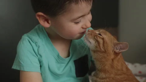 A small child gently caressing and embracing red fluffy cat. Lovely pet. The 스톡 동영상 237587644