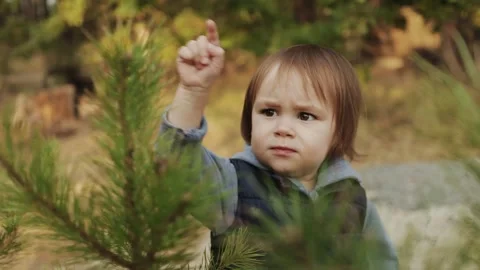 A small child happily points to something intriguing in the forest and touches a Stock Footage 308877094