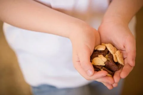 Small child holding Easter cookies in his hands. Hand of a kid full of sweet Stock Photos
