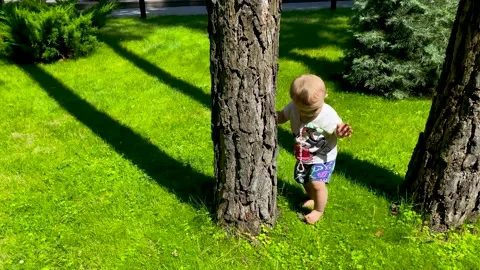 Small child learning to walk. Baby's first steps in the fresh air Stock Footage 251139334