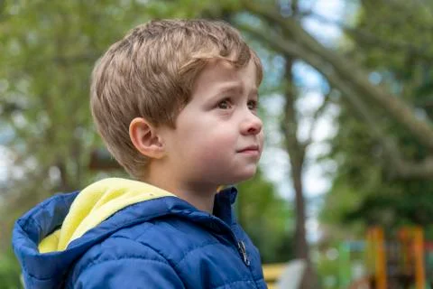Small child looking up at the trees Stock Photos