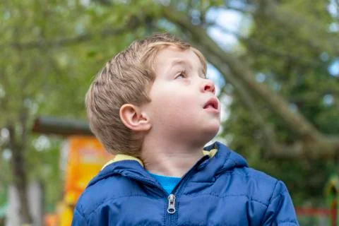 Small child looking up at the trees Stock Photos