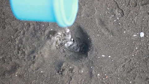 A small child making a hole in the sand Stock Footage 240908518