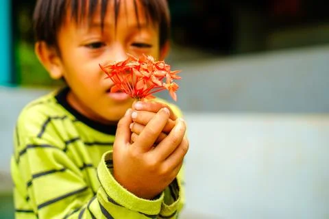 Small child Stock Photos