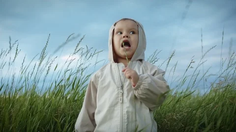 Small child playing with grass in the field. Stock Footage 77020261