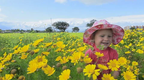Small child playing in a meadow full of flowers. Spain.  Clip 1b. Stock Footage 44558227
